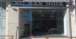 Réf : TL1611,Local commercial à louer sur St Rambert d&rsquo;Albon,26140