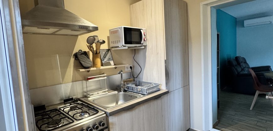 Réf : G670,Appartement T3 meublé de  51.9m2,07340