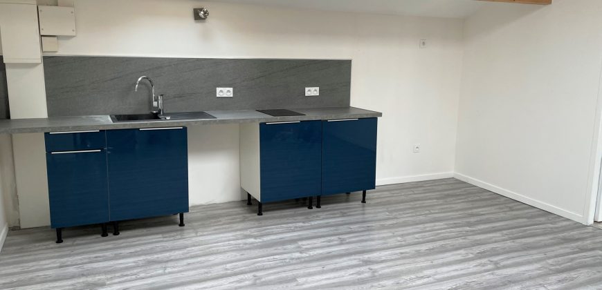 Réf : G518,Bel appartement T2 en location à Saint-Rambert-D&rsquo;Albon,26140