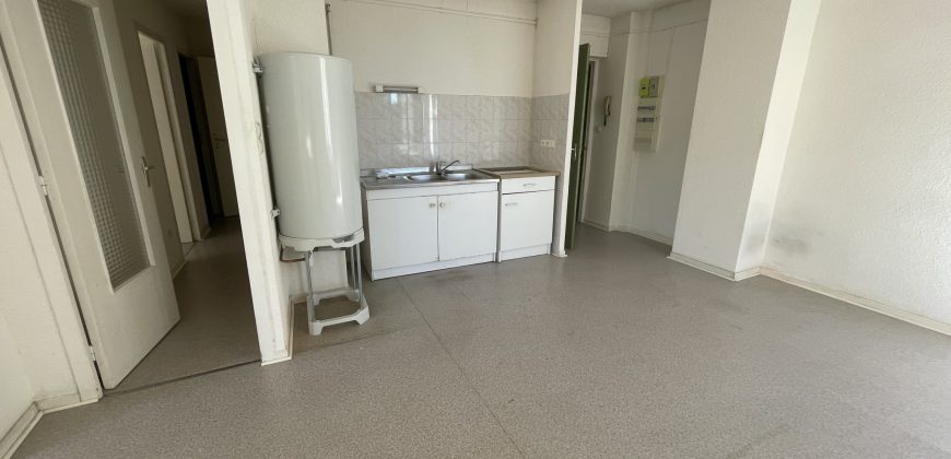 Réf : G561-4,T3 SAINT UZE,26240